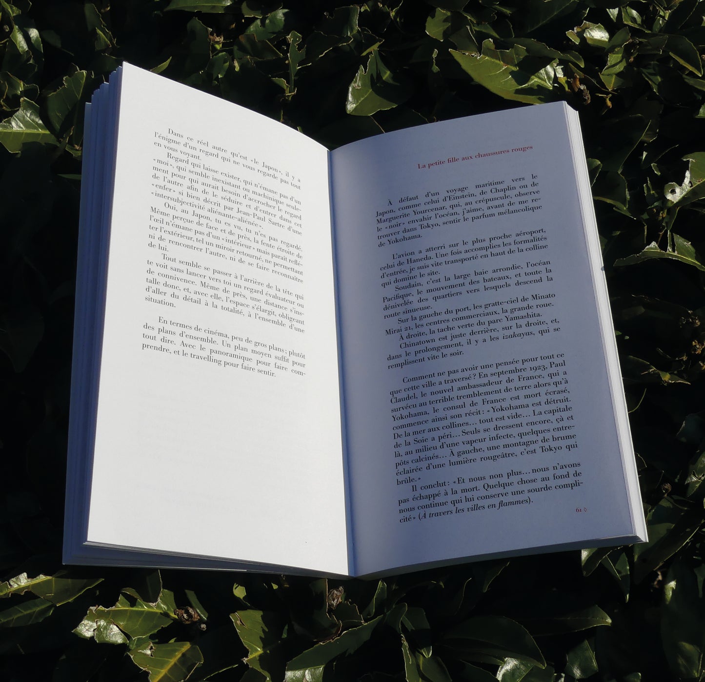 Visages du Japon (broché)