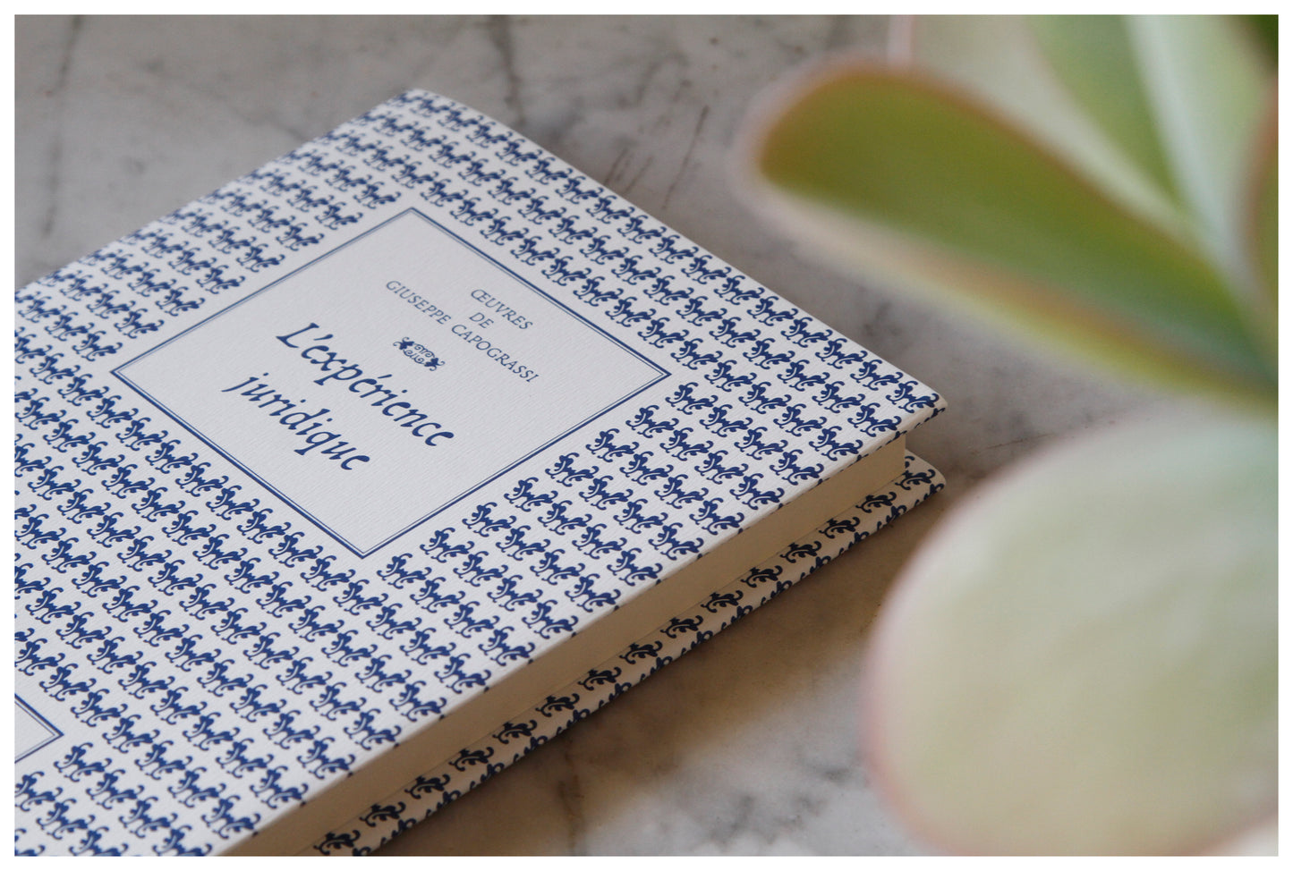 L'expérience juridique