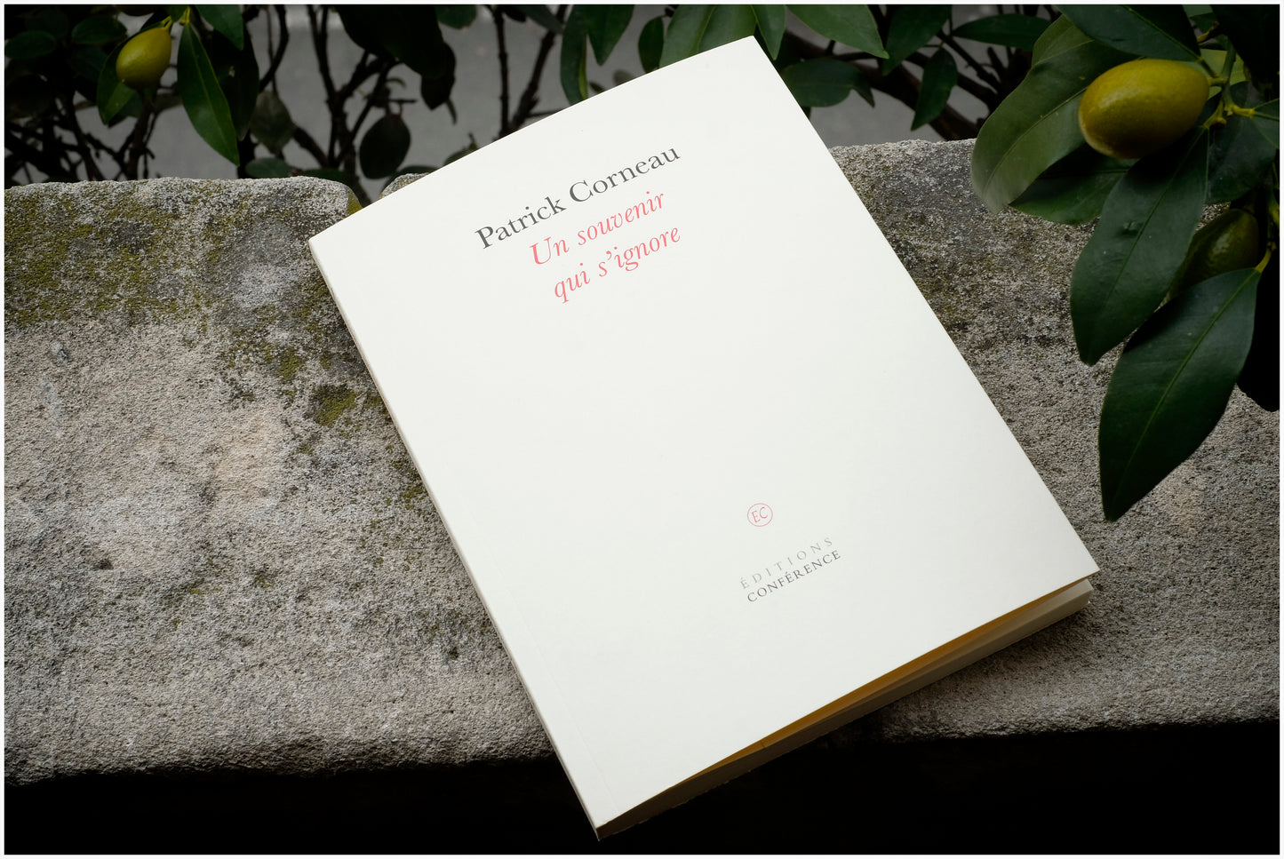 Un souvenir qui s'ignore