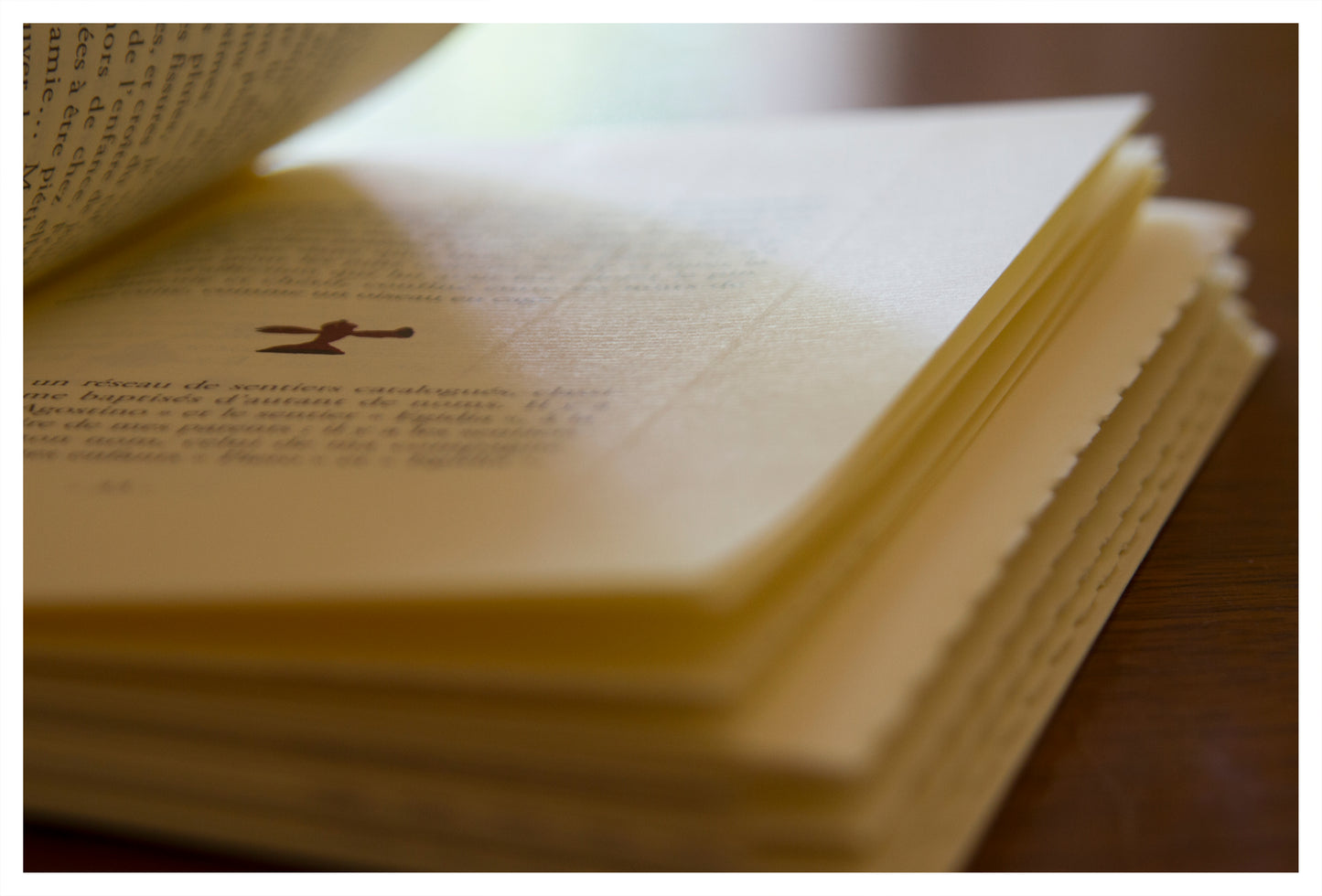 Les Falaises de San Lazzaro