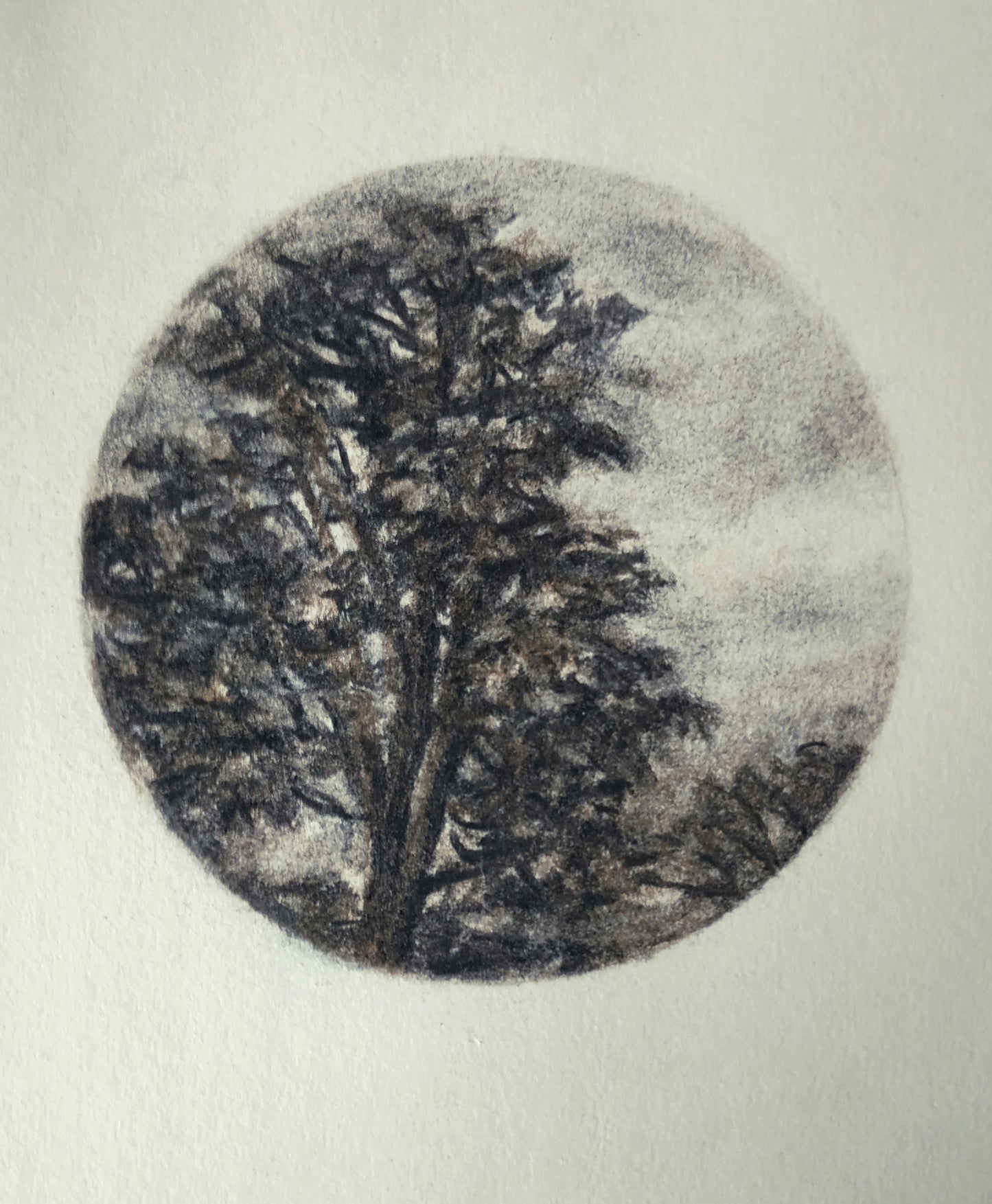 Le propos de peindre