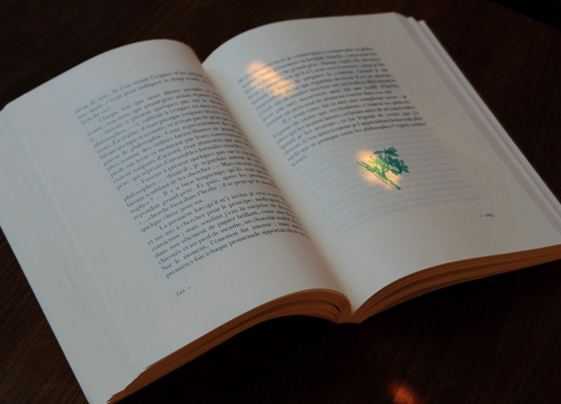 Inventaire d'une maison de campagne