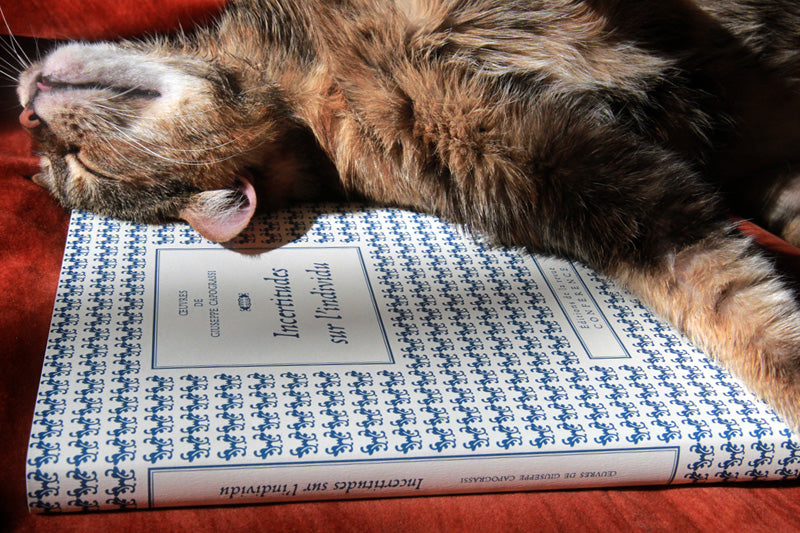 Incertitudes sur l'individu