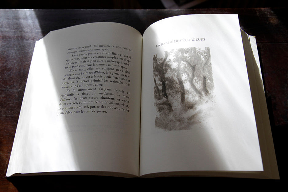 La maison dans la montagne