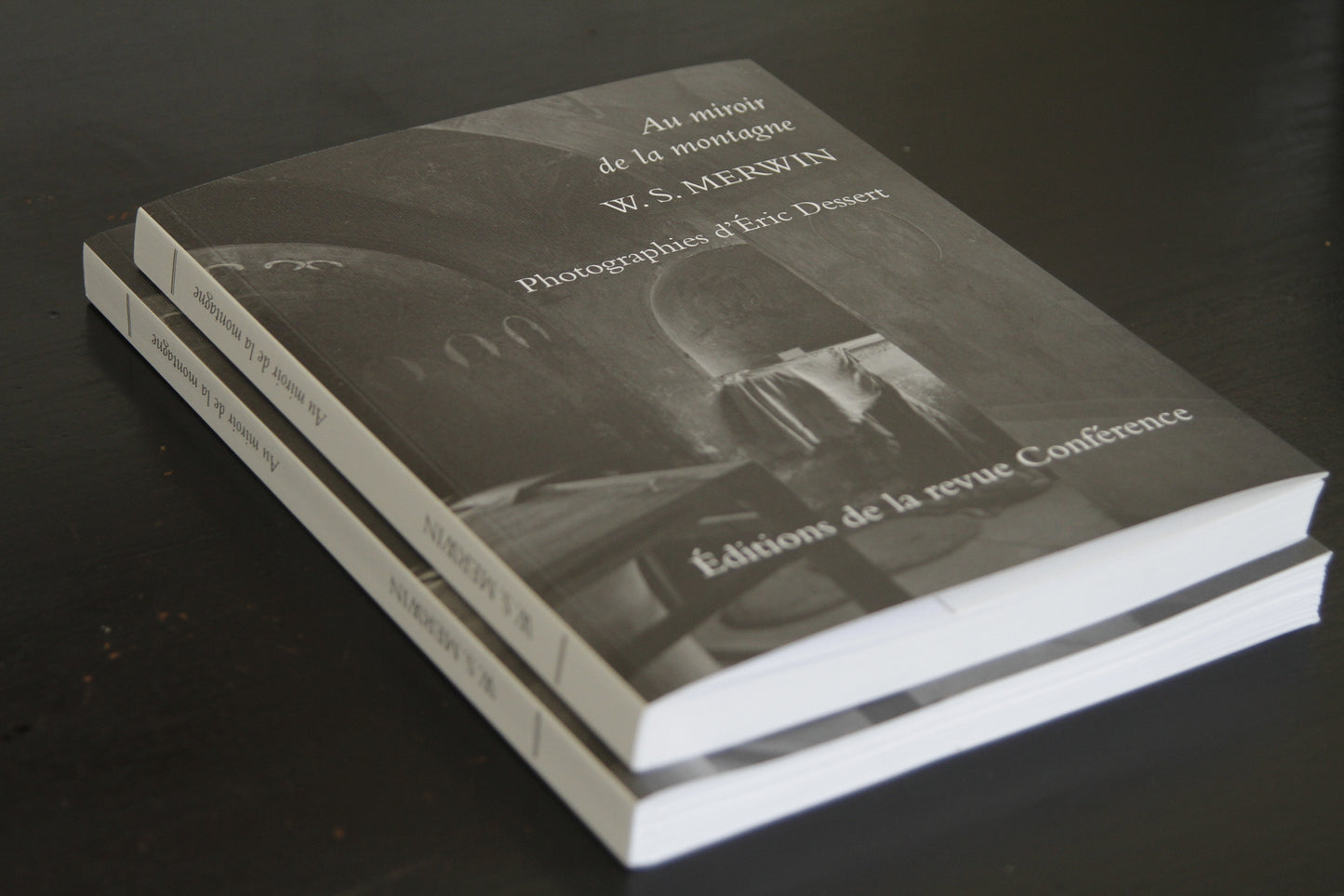 Au miroir de la montagne