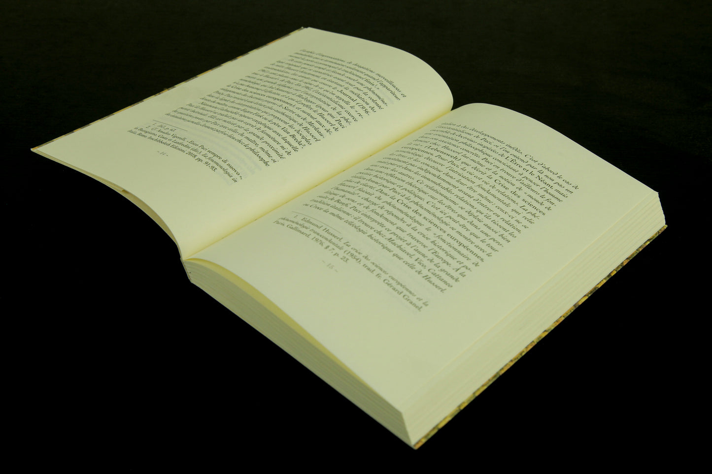 Journal phénoménologique