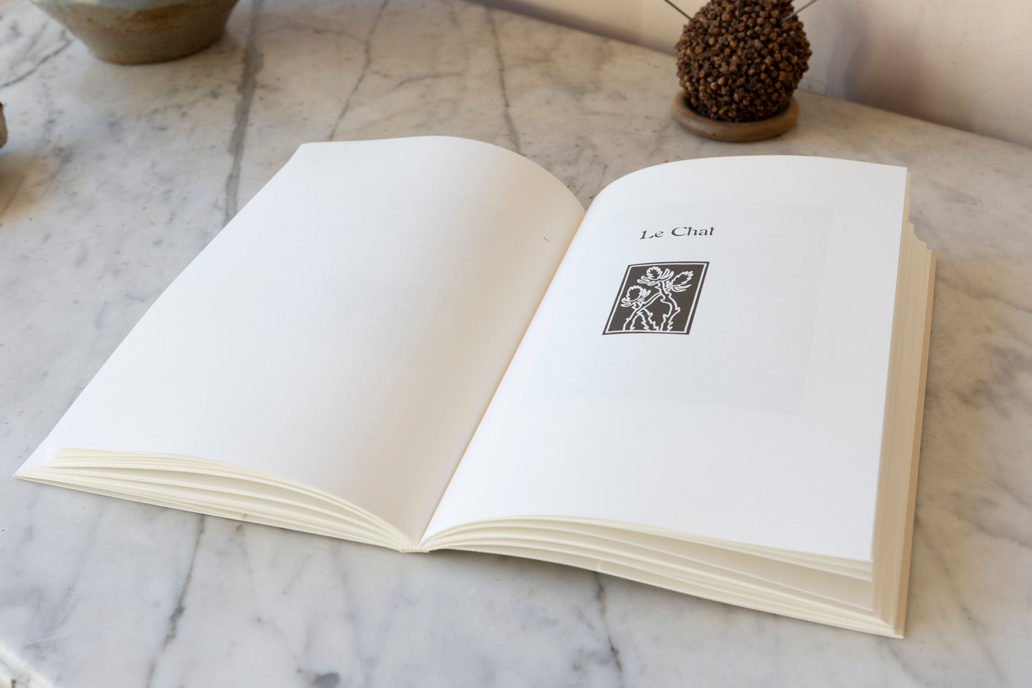 Mon seul désir vient des étoiles