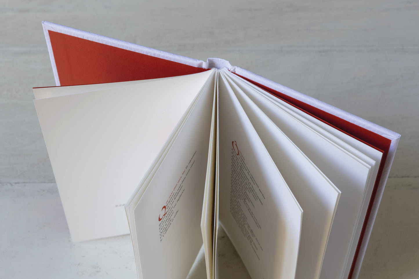 L'école du petit âne