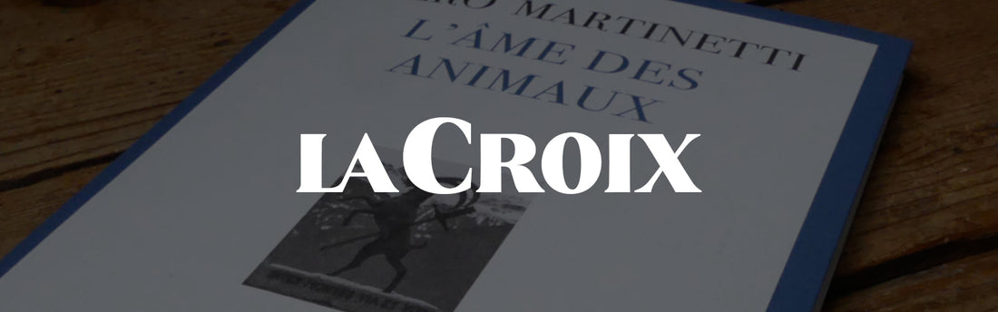 Le regard des vaches