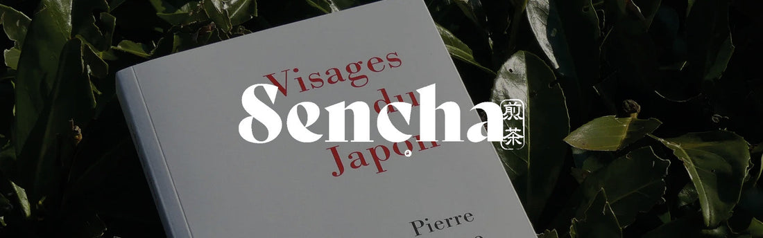 Entretien avec Pierre Jacerme