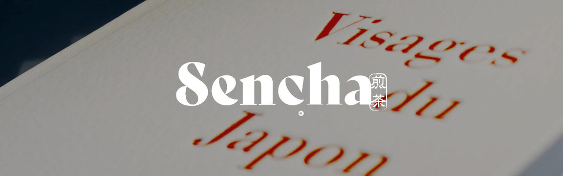 Nouvel entretien avec Pierre Jacerme