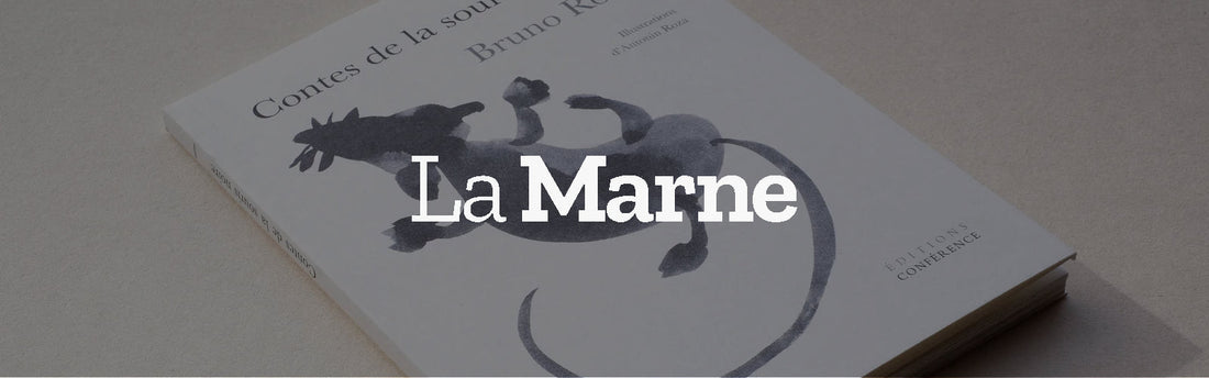 Les contes de fées revisités