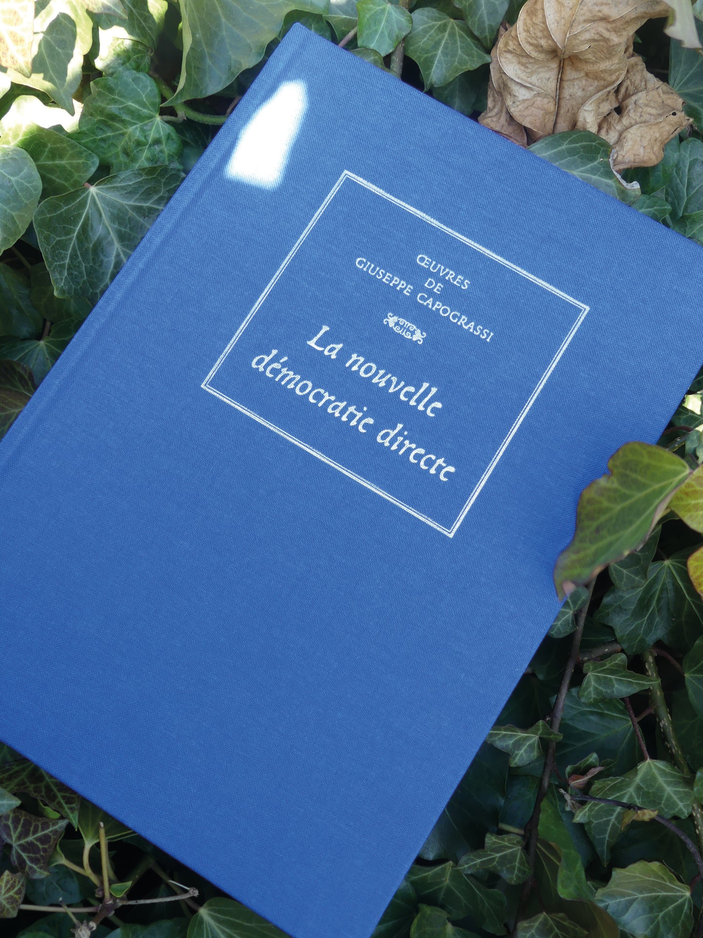 La nouvelle démocratie directe