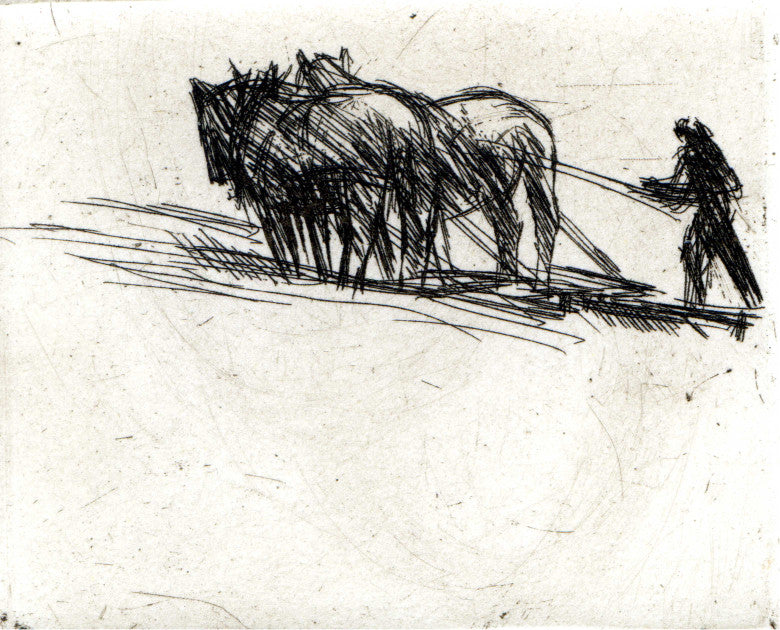 Journal intime d’un pays