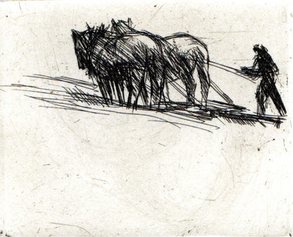 Journal intime d’un pays