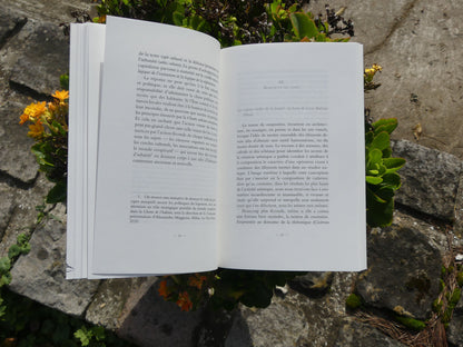 On ne sauvera pas la terre sans sauver les villes