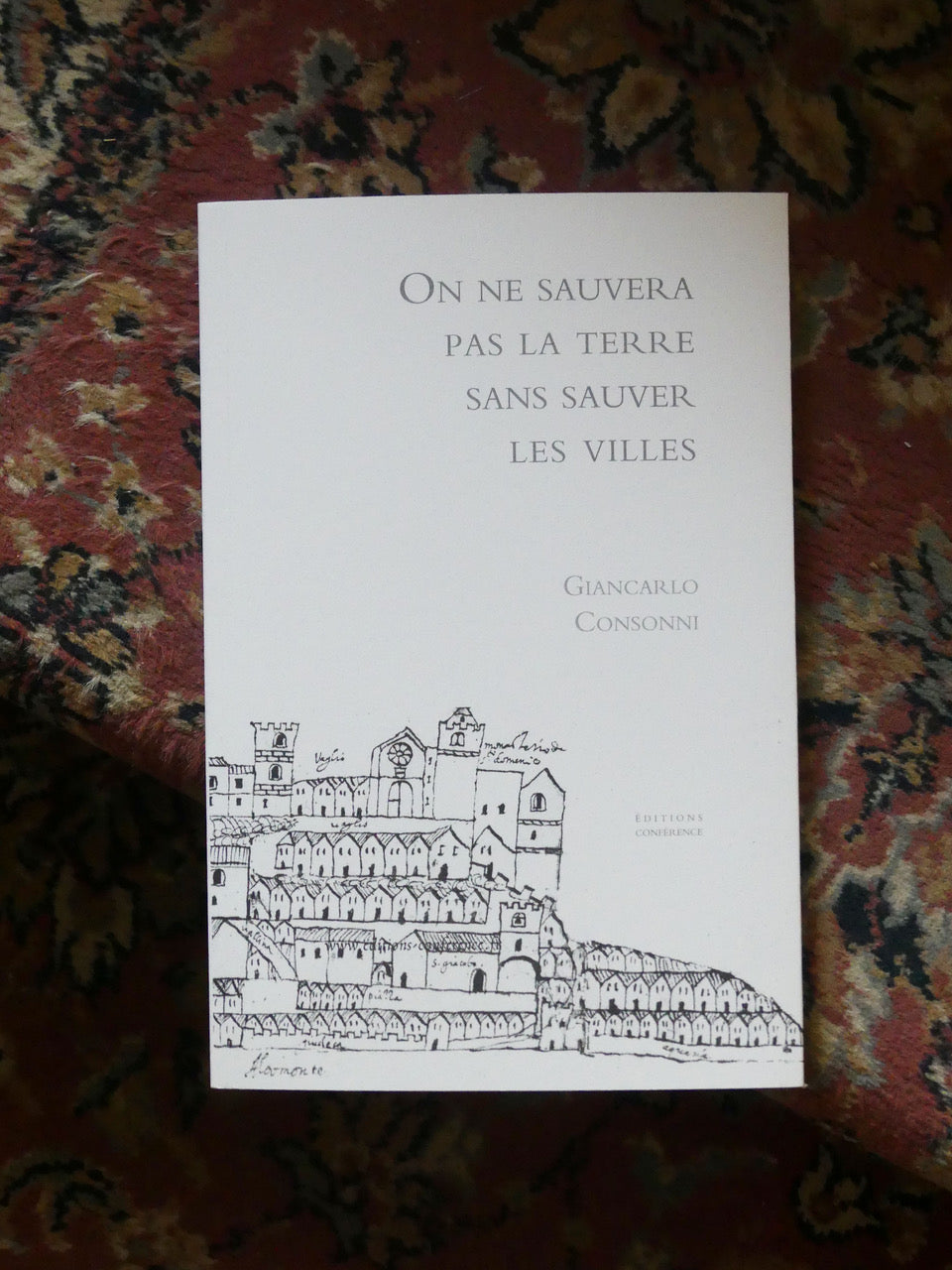 On ne sauvera pas la terre sans sauver les villes