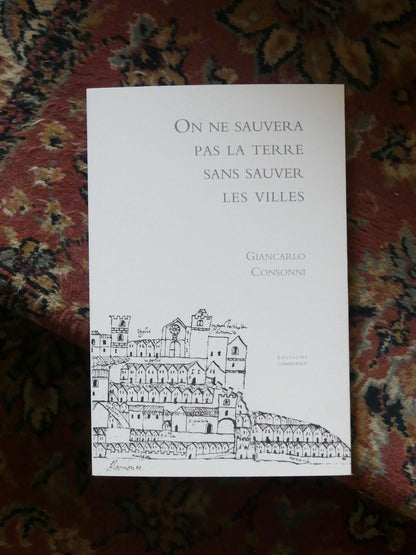 On ne sauvera pas la terre sans sauver les villes