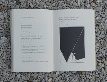 Hurler à la lune