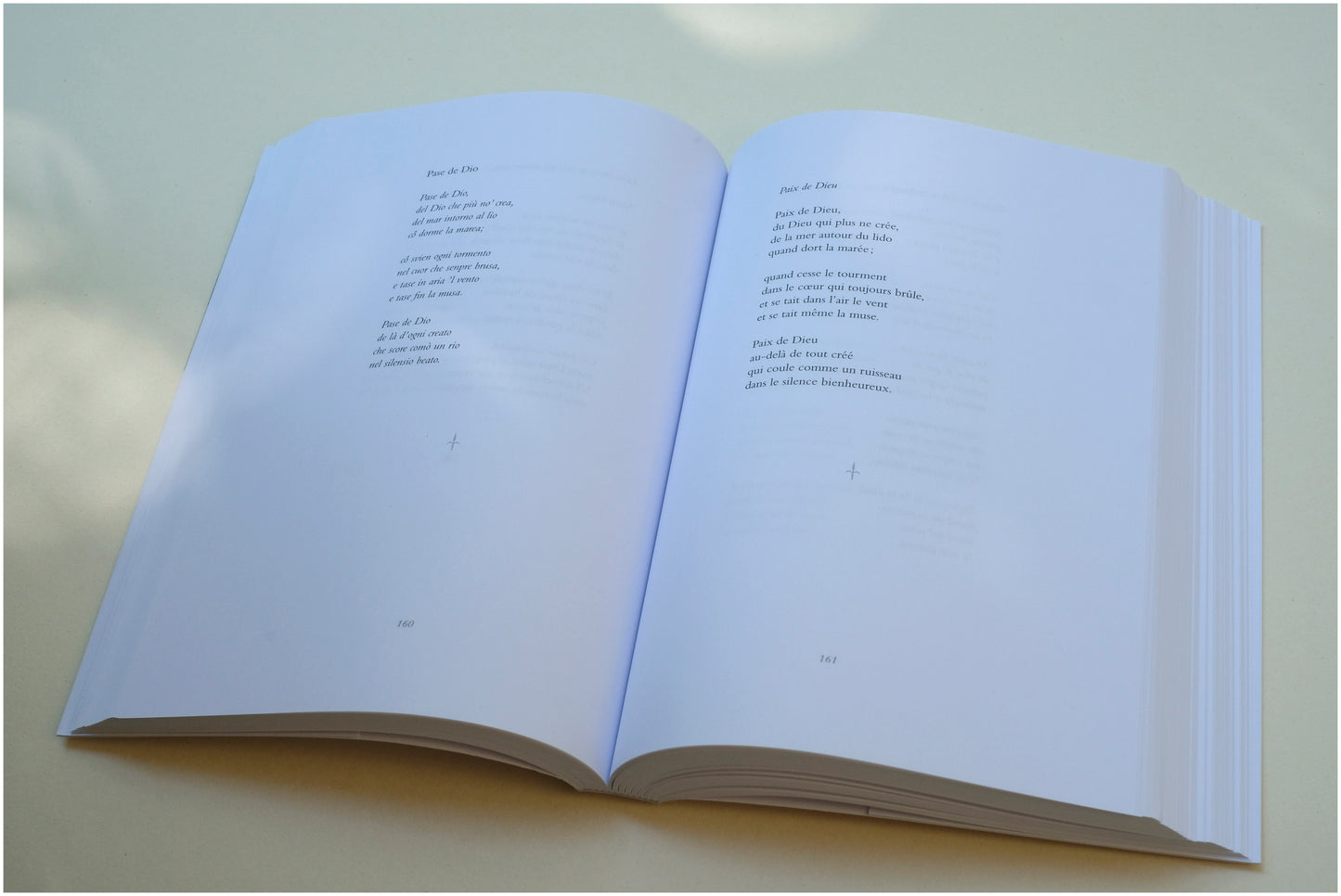 Les Litanies de la Madone & autres poèmes spirituels