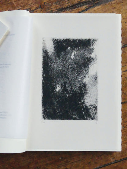 Guerre dans le Val d'Orcia