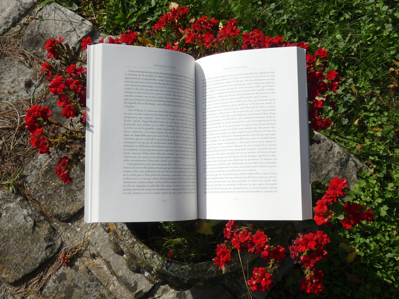 Vérité et interprétation