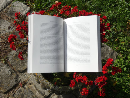 Vérité et interprétation