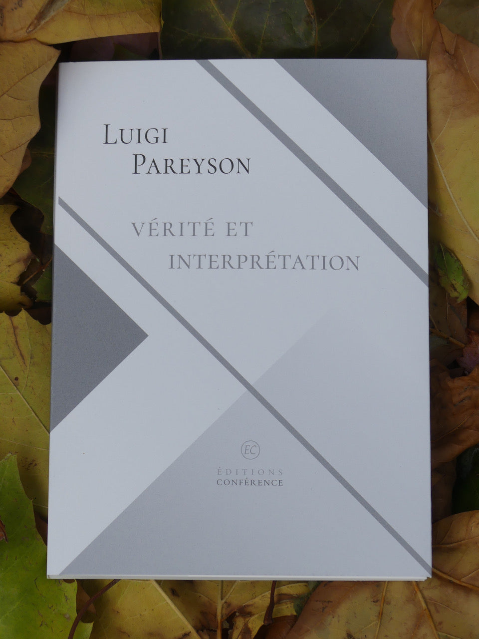 Vérité et interprétation