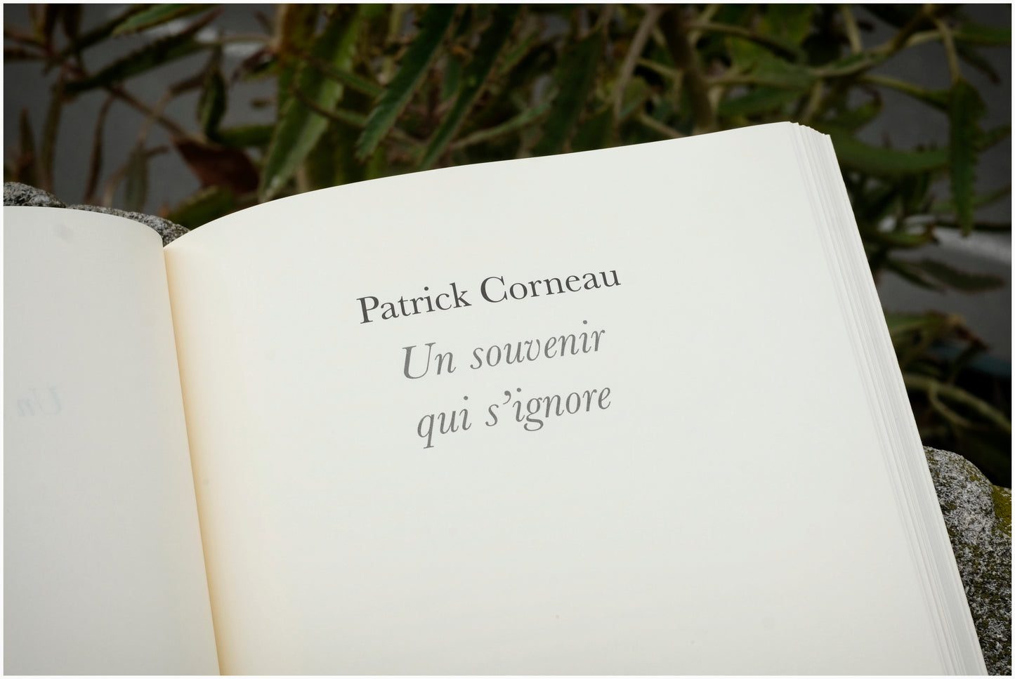 Un souvenir qui s'ignore
