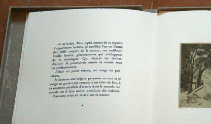 Voici le garde-voie