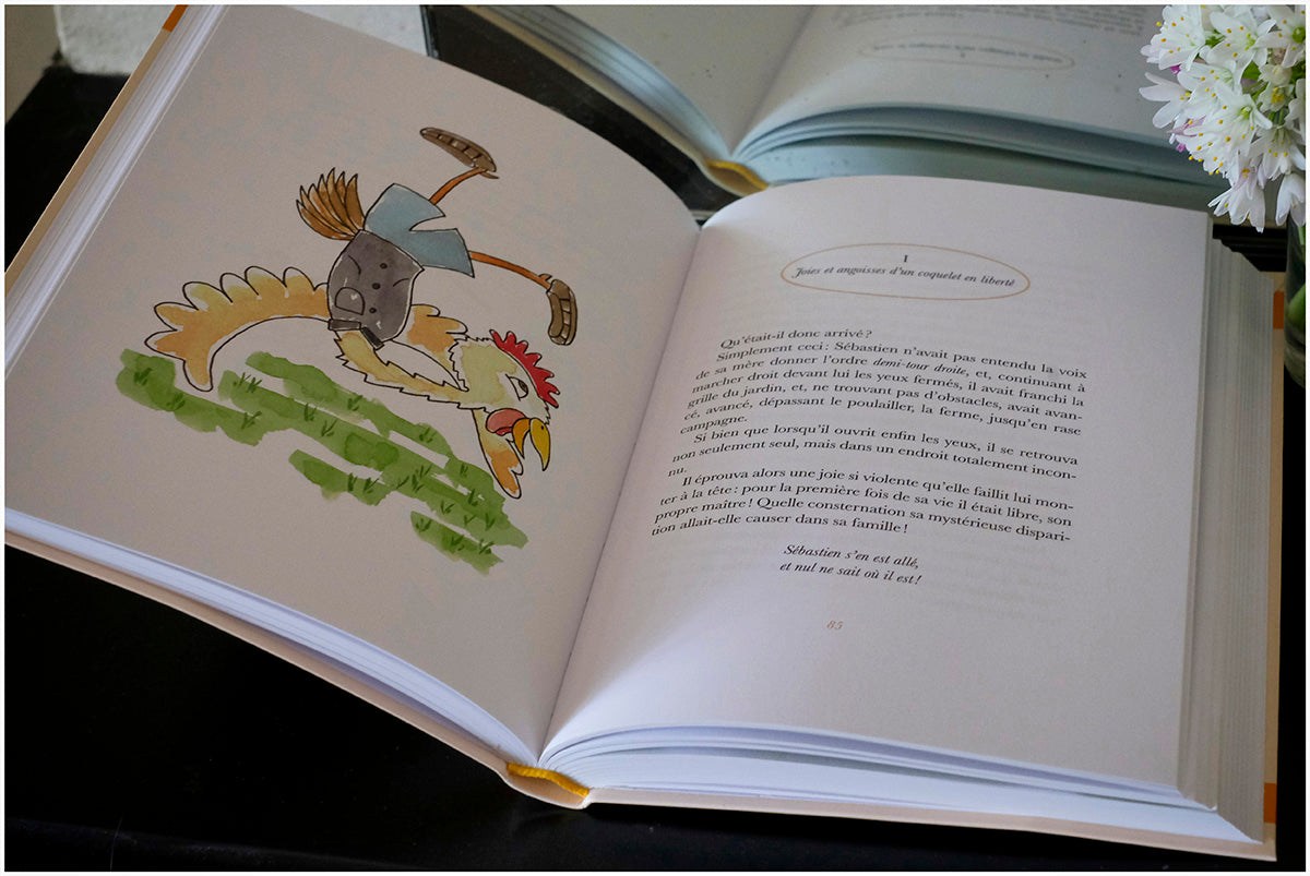 Histoire du coq Sébastien