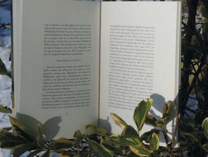 Vie d'Hildegarde
