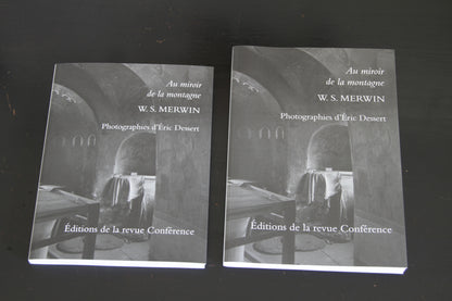 Au miroir de la montagne