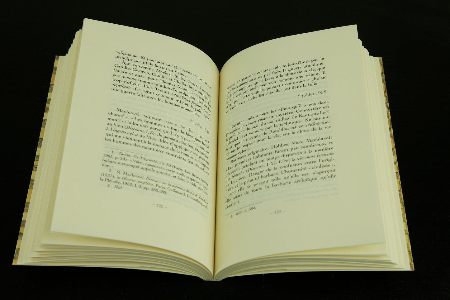 Journal phénoménologique