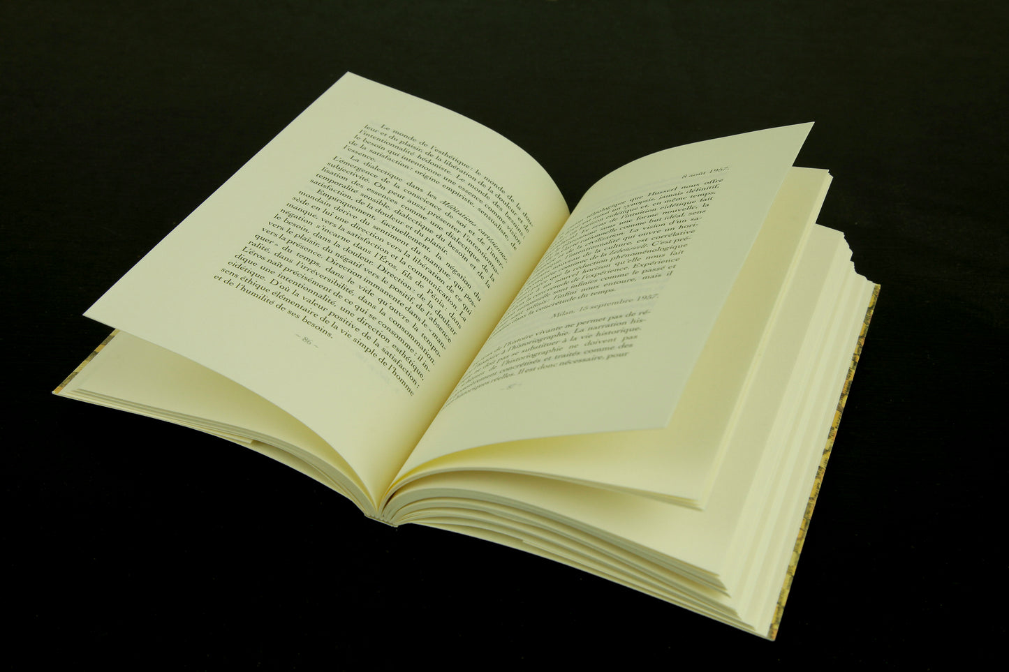 Journal phénoménologique