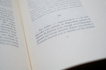 Le récit interrompu