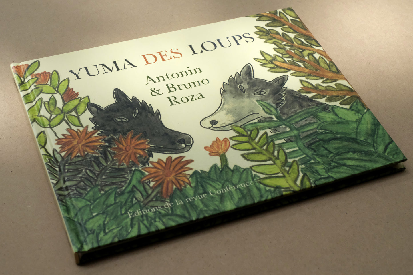 Yuma des loups