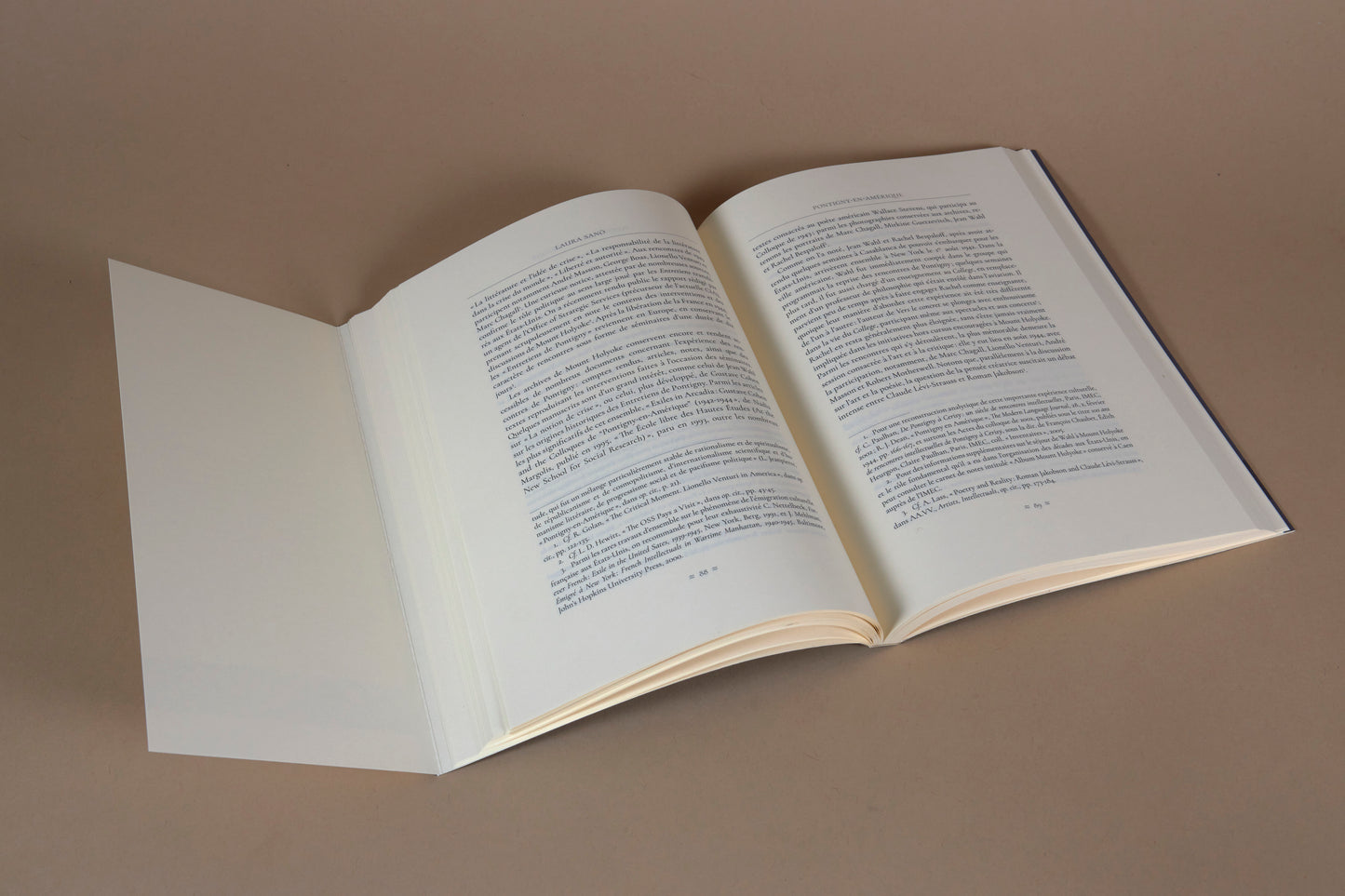 Une pensée en exil. La philosophie de Rachel Bespaloff