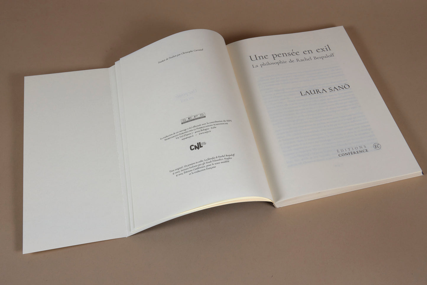 Une pensée en exil. La philosophie de Rachel Bespaloff