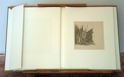 XIX sonnets de Pétrarque